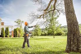 Best Hazardous Tree Removal  in Watchung, NJ